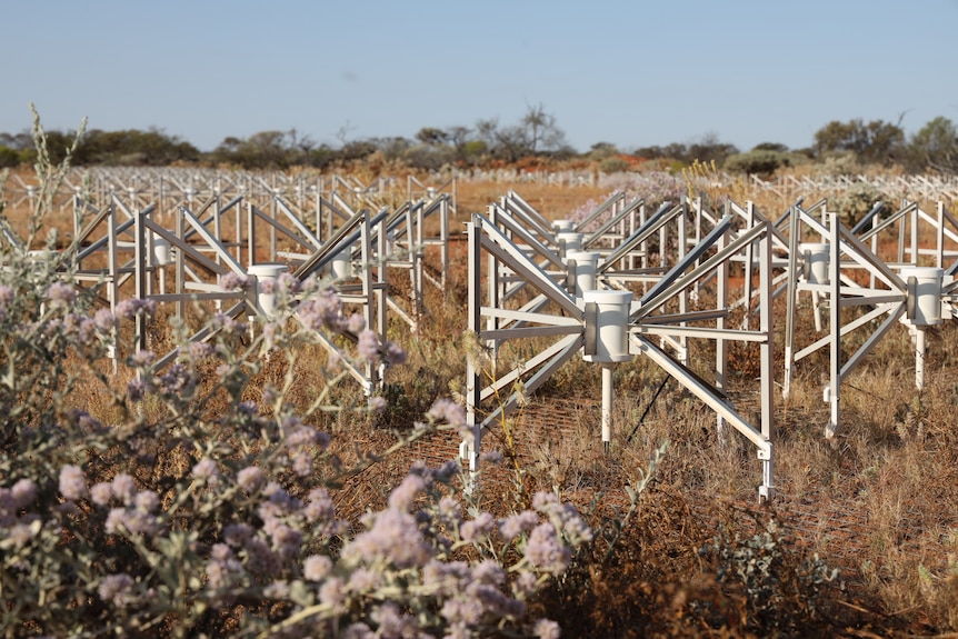 Small antennas are placed in a network in the desert.